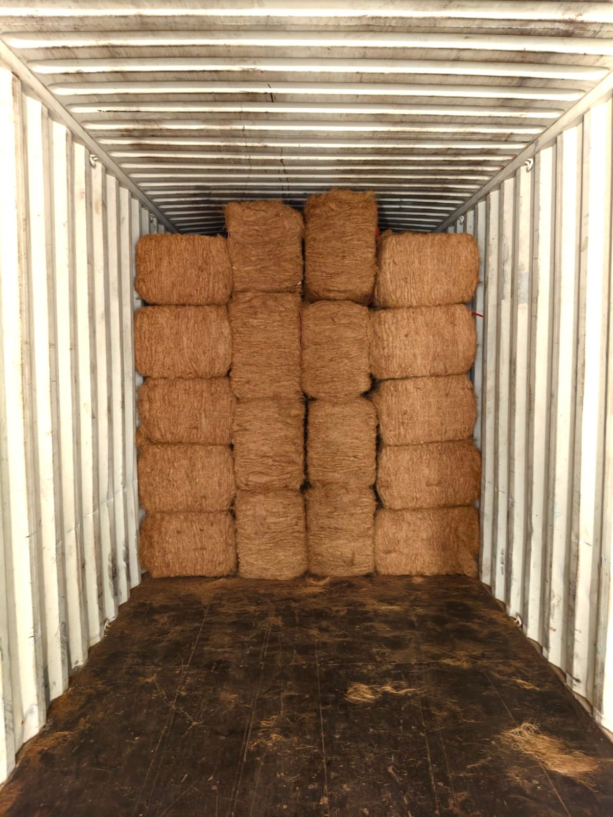 Export capability