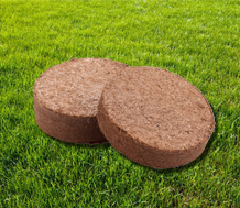 Coco Disk product view 1