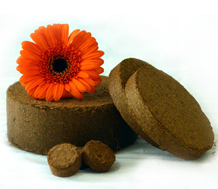 Coco Disk product view 3