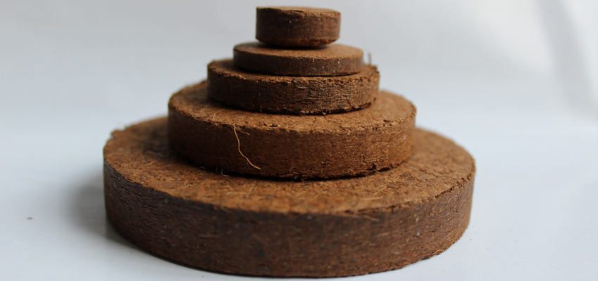 Coco Disk