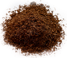 Coco Peat product view 1