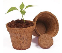 Coco Pots product view 1