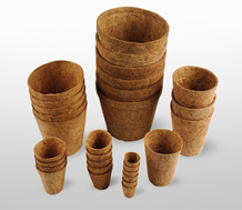 Coco Pots product view 2