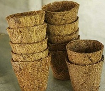 Coco Pots product view 3