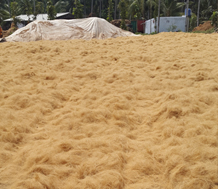 Coir Fibre product view 1