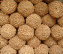 Coir Logs product view 2