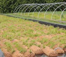 Coir Logs product view 3