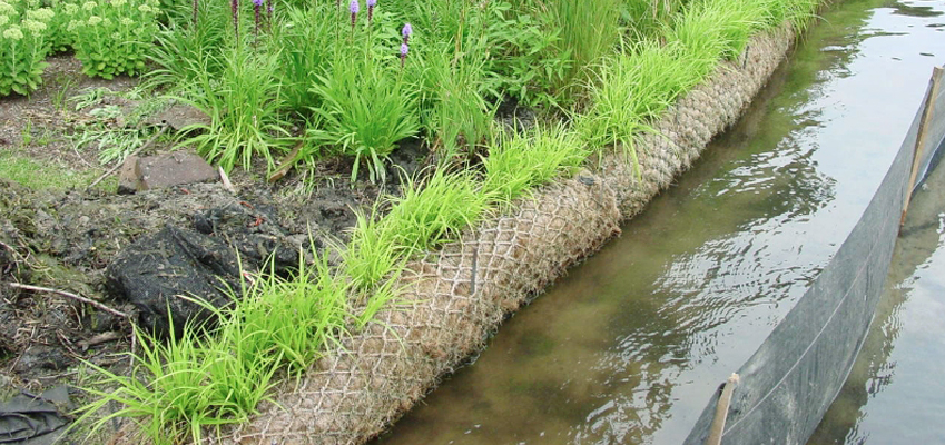 Coir Logs